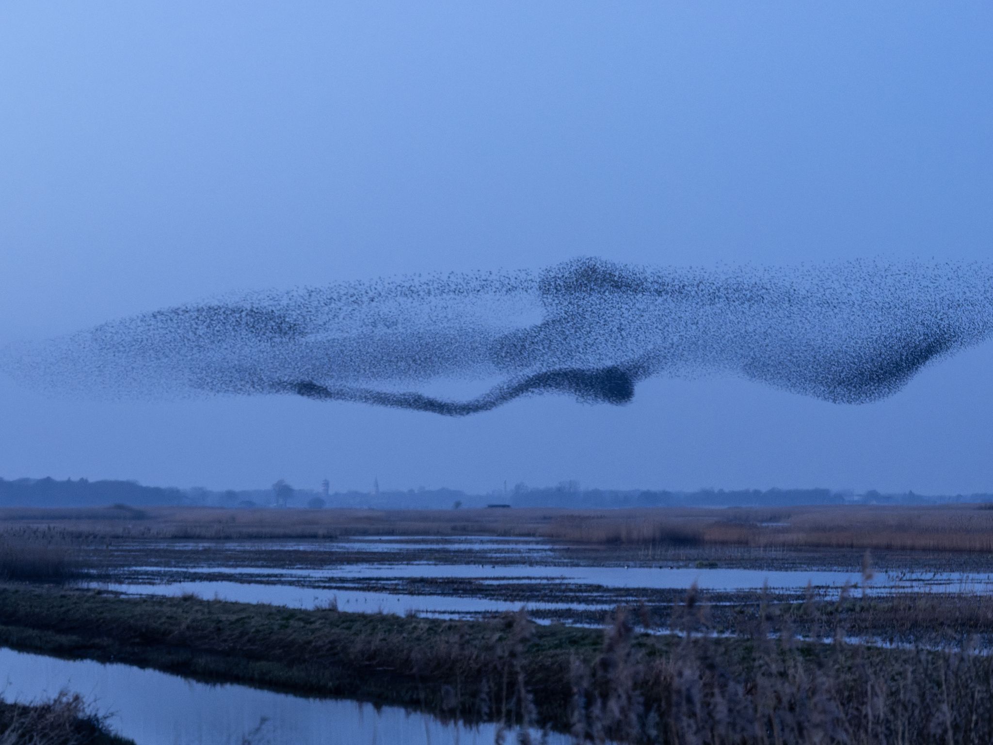 260319 2000 J  2JR0267 DxO DeepPRIME 3